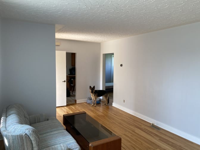 Stephen Mader's room