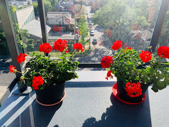 Photo of Maria's room