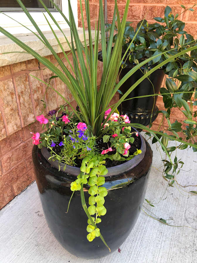 Photo of Heidi's room