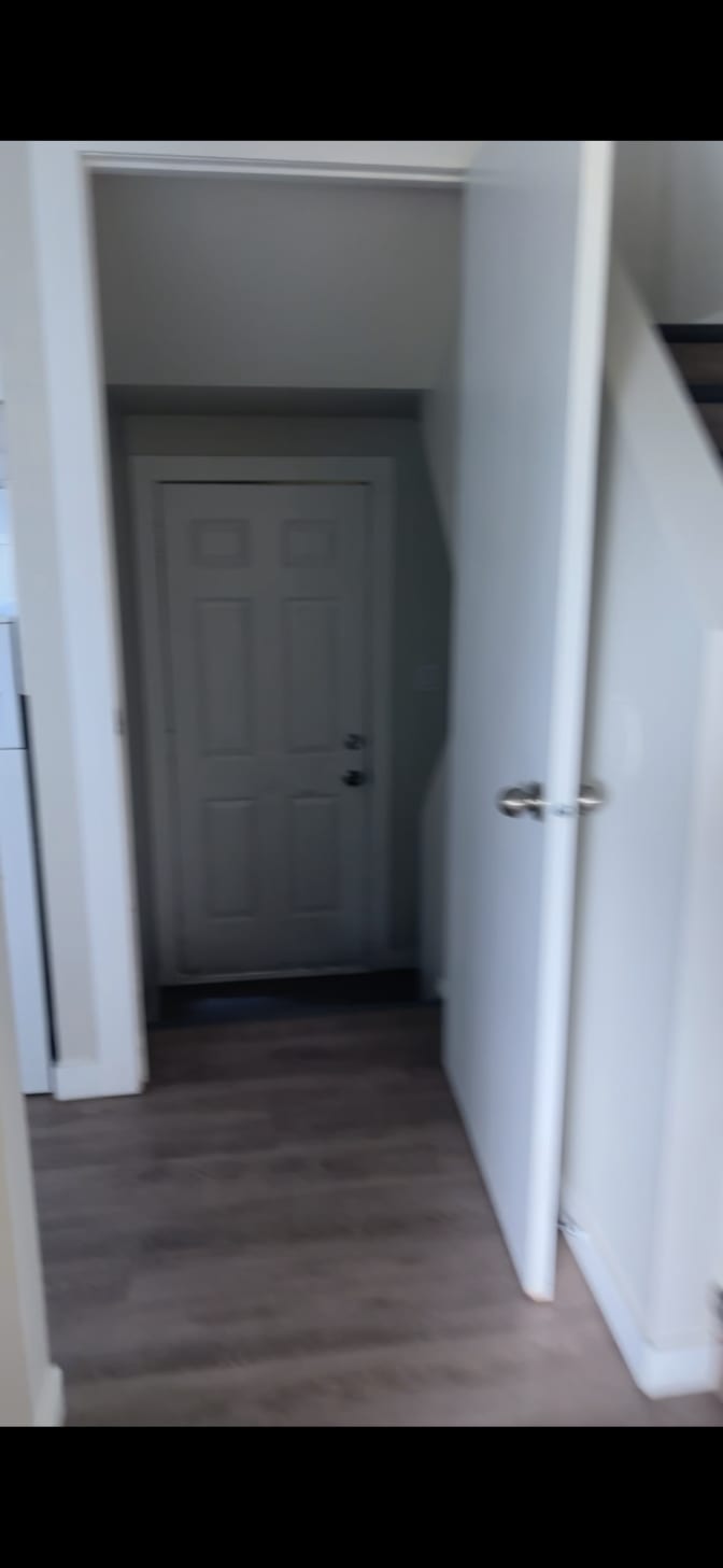 Cassidy  Elgert's room