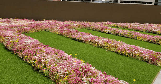 Blossom Ayuka-kubam's room