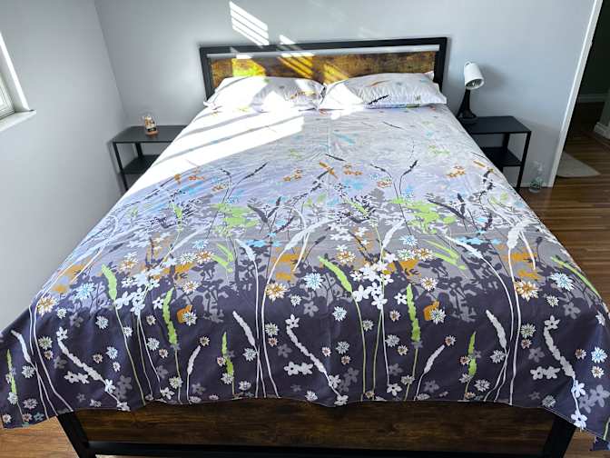 Photo of Tracy's room