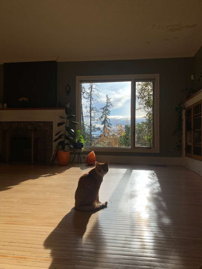 Photo of Z's room