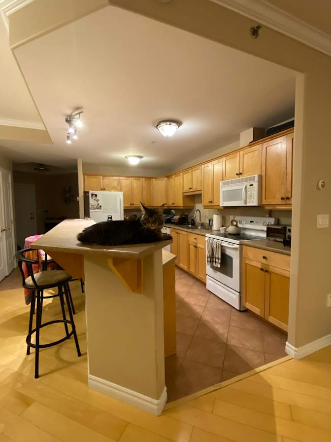 Chantelle Boudreau's room