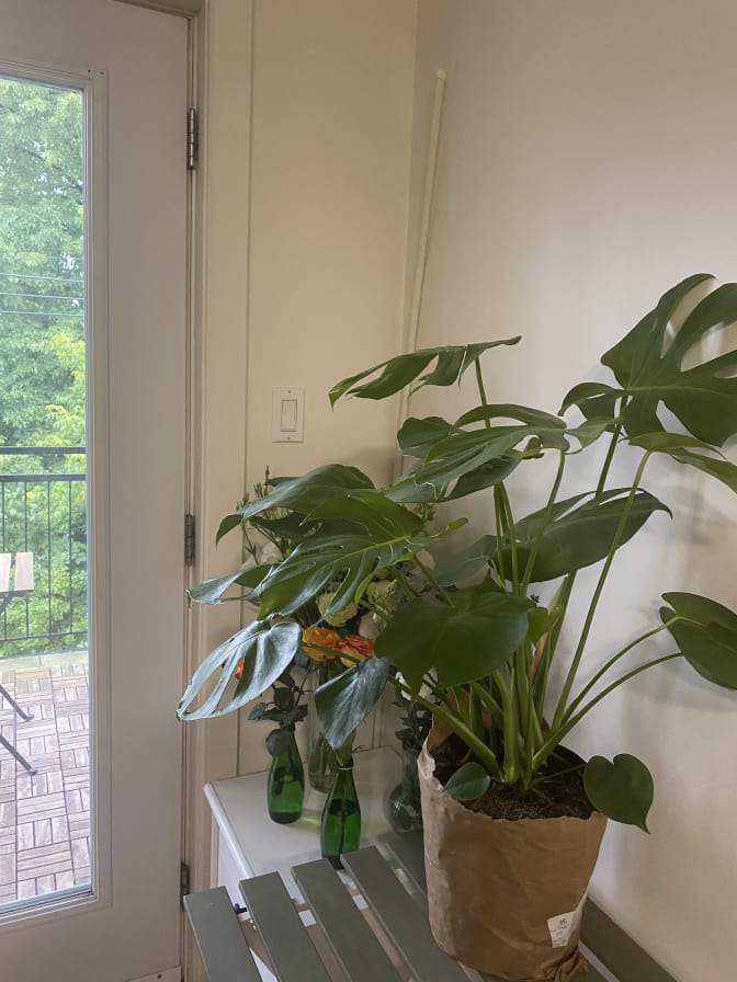 Photo of Faith's room