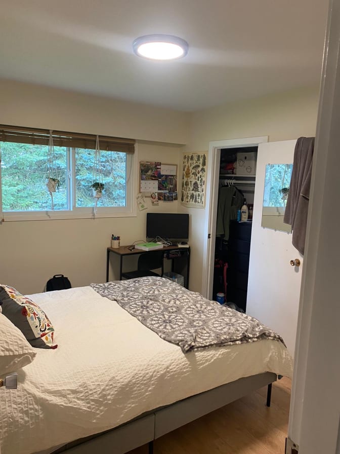 Doina Dragomir's room