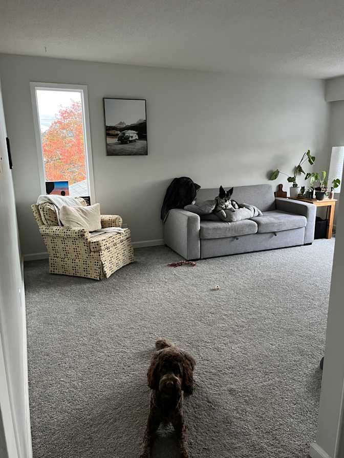 Photo of Milana's room