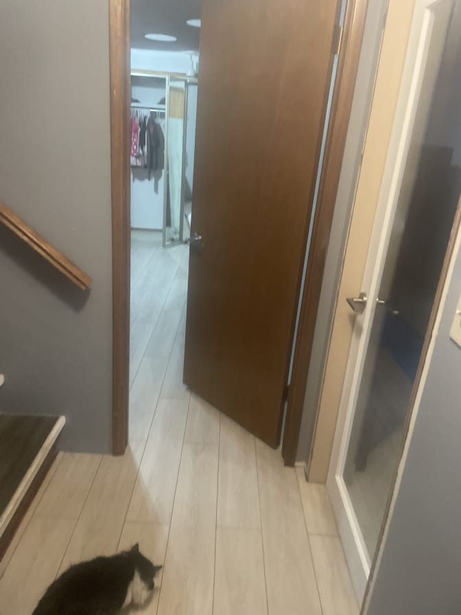 Kinsley Pearen's room