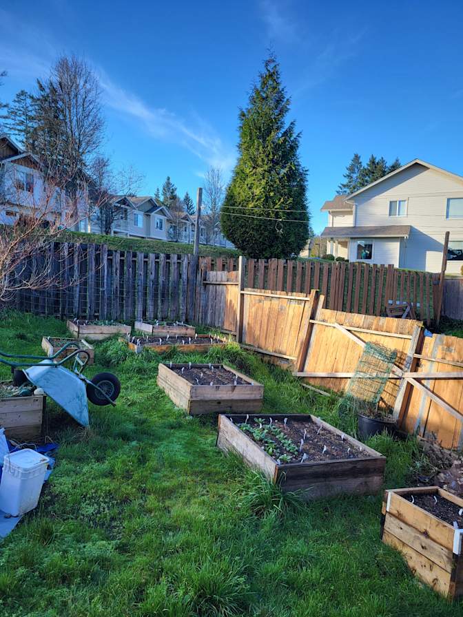 Photo of MONIKA S's room