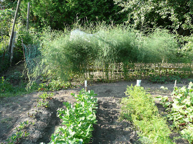 Photo of Laurence's room