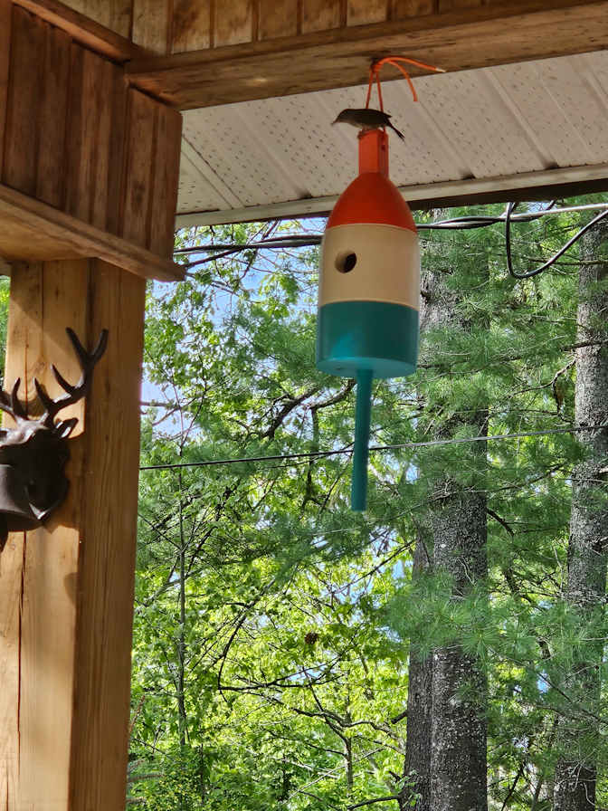 Photo of PHIL's room