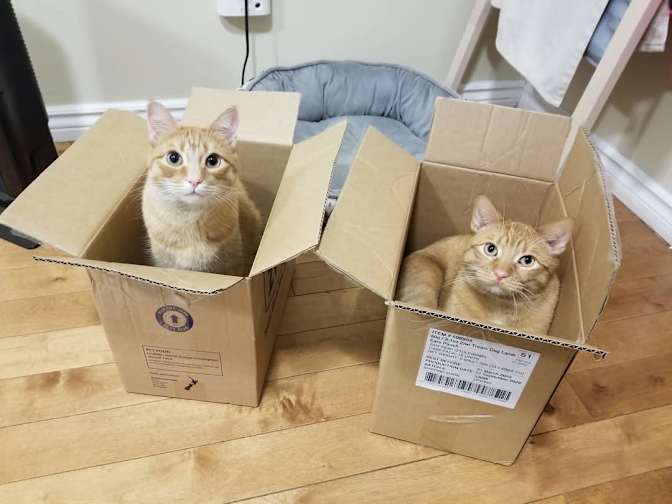 Photo of Lidia's room