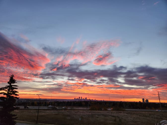 Lauren Vanderveen's room