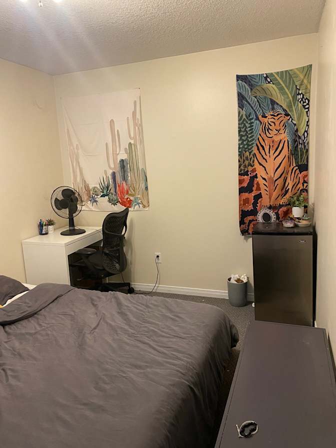Photo of Kate's room