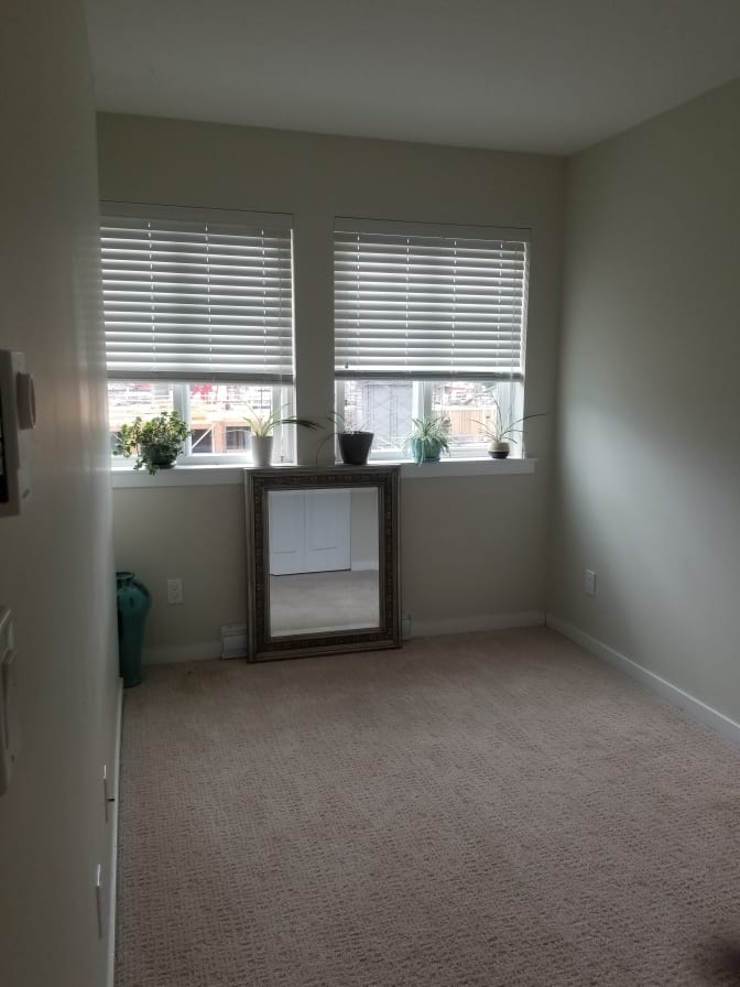 alison burton's room