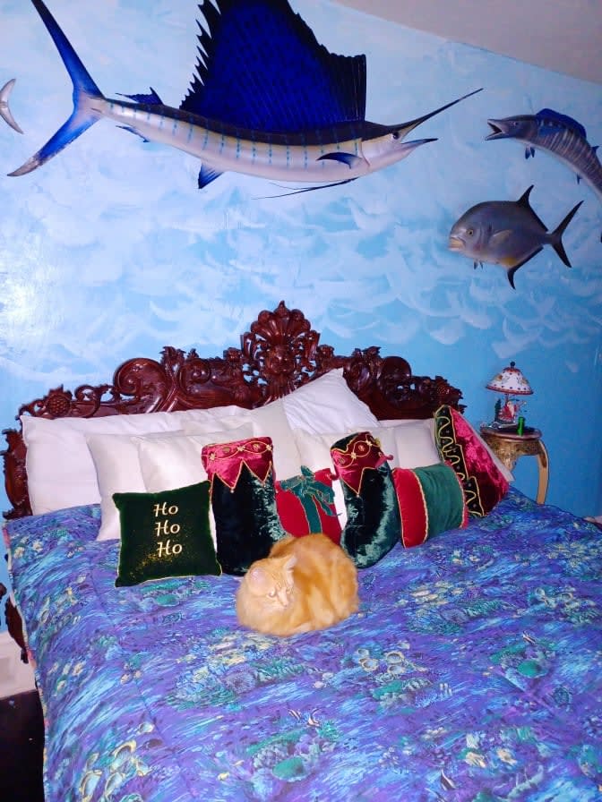 Photo of Lucinda's room