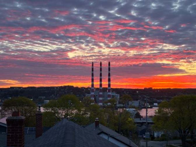 Please Contact's room