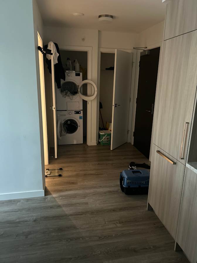 Photo of HUSSAM Shah's room