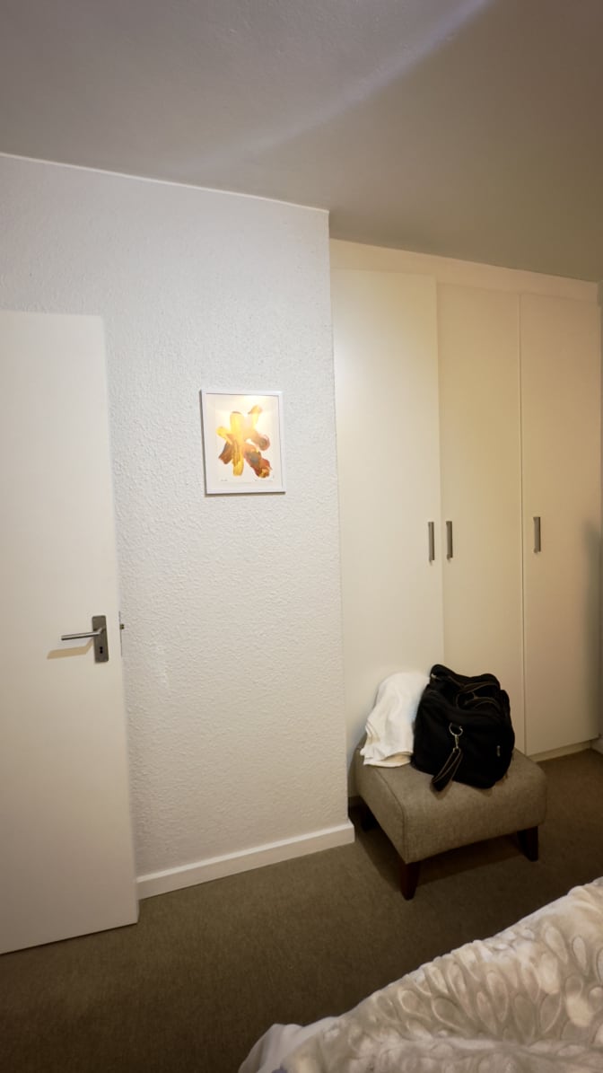 Photo of Elmo's room
