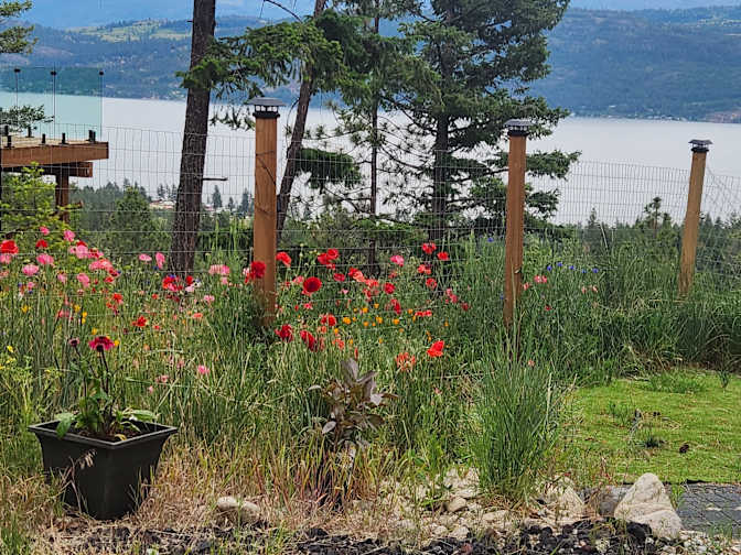 Adrienne kendall's room