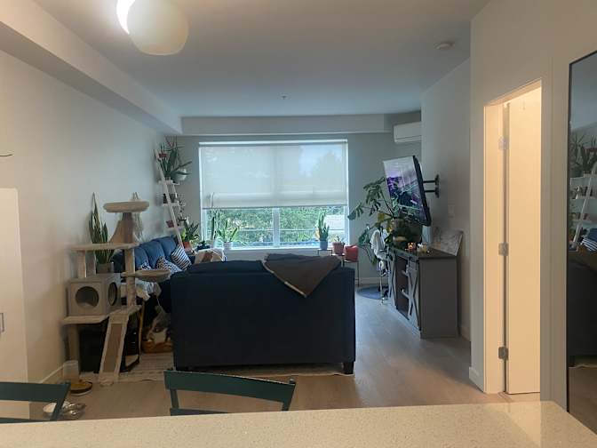 Jessica Chura's room