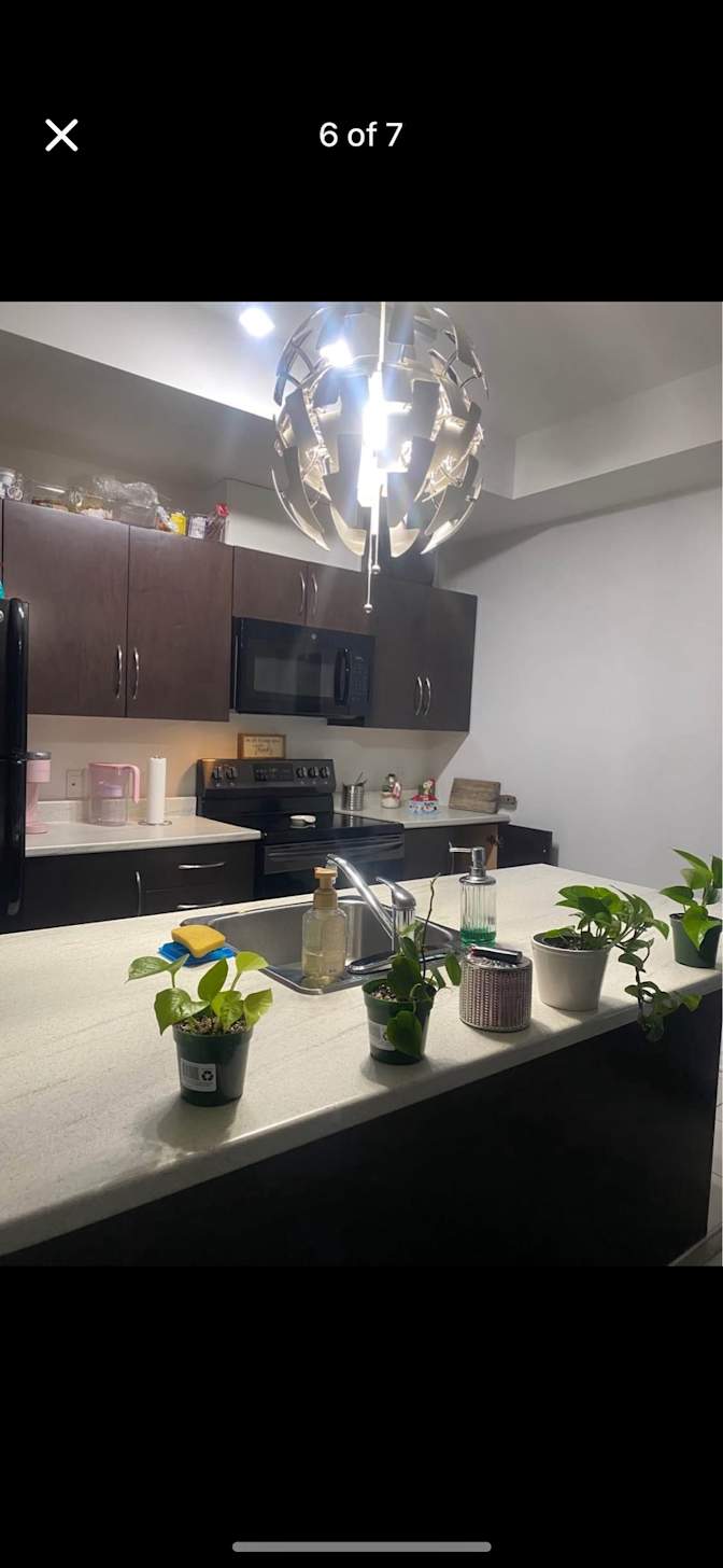 Photo of Princess's room