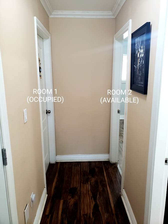 Veronica Choudhary's room