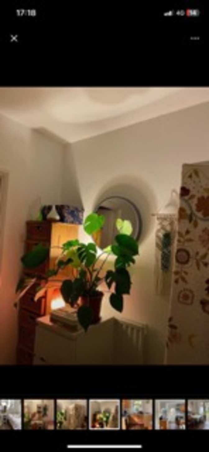 Photo of Nigel's room