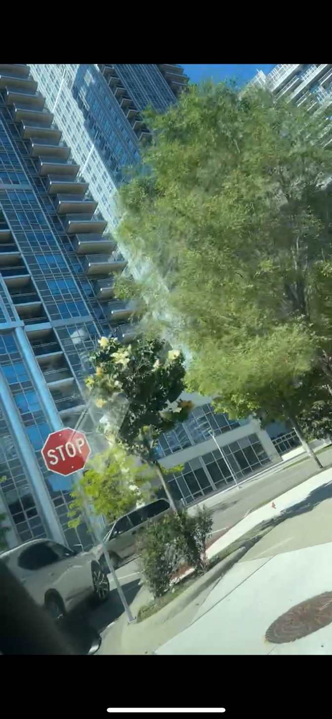 Photo of Chantelle's room