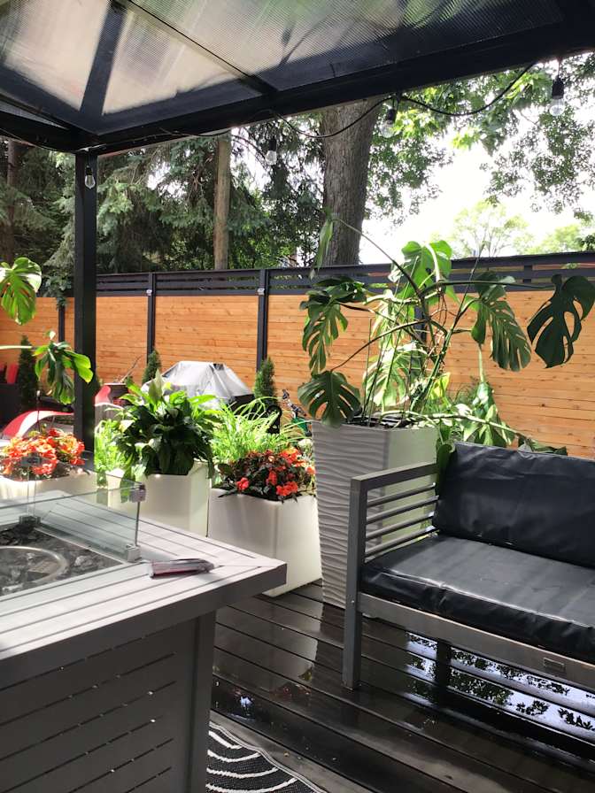 ofelya tevonian's room