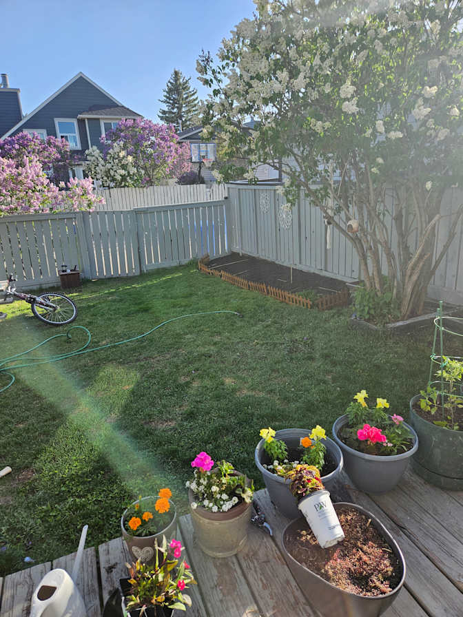 Jolene Peters's room