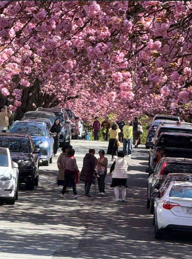 Photo of Danielle's room