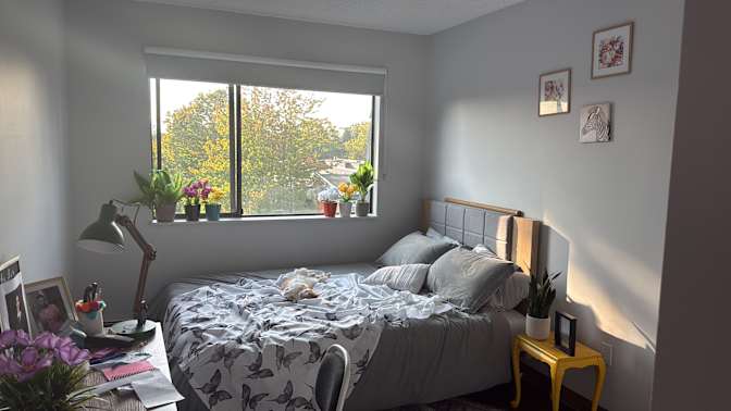 Photo of Adris's room