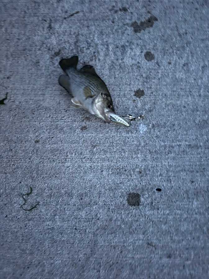 Photo of Bradley's room