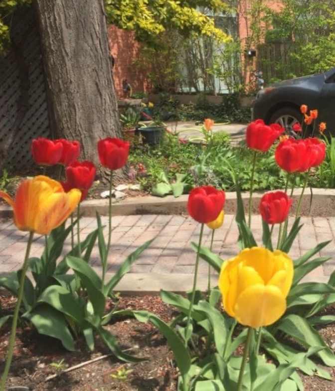 Photo of Gary's room