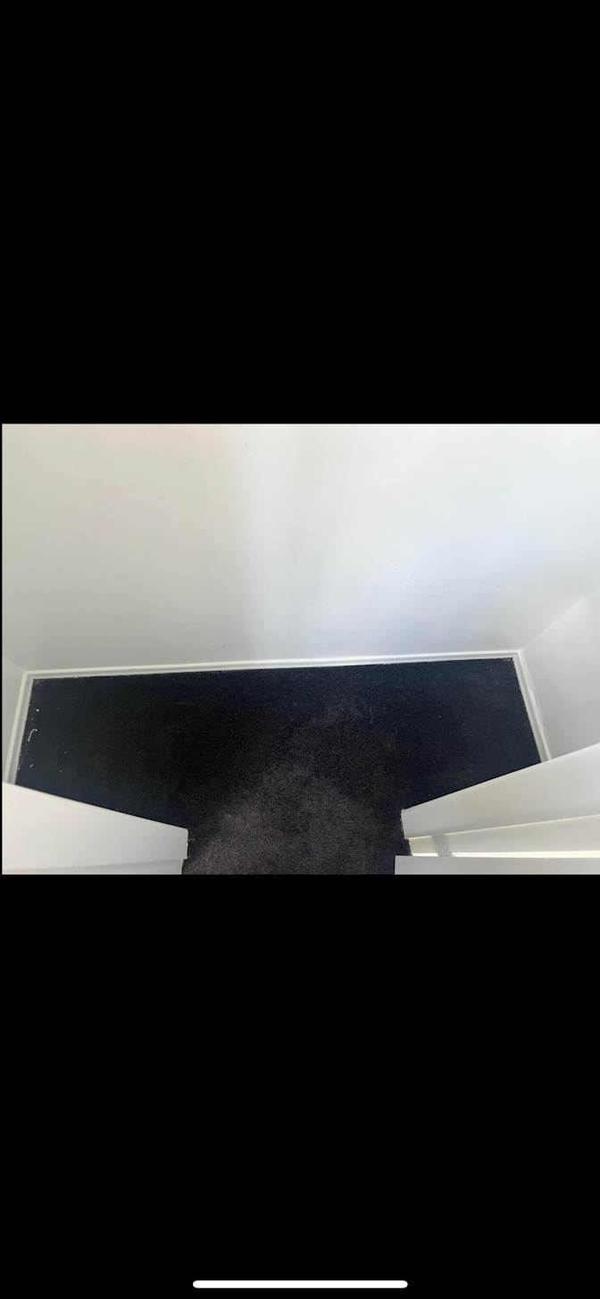 Photo of Megan's room