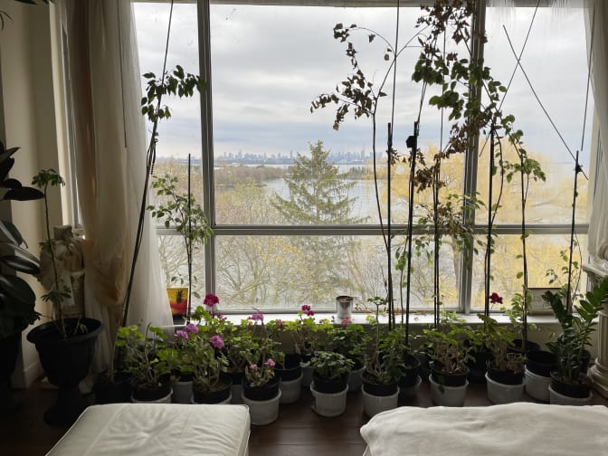 Photo of Andrew's room