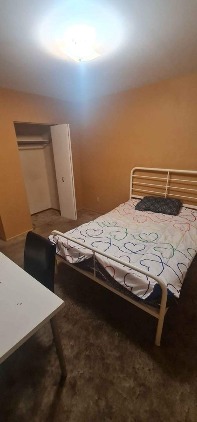 Photo of Shobaky's room