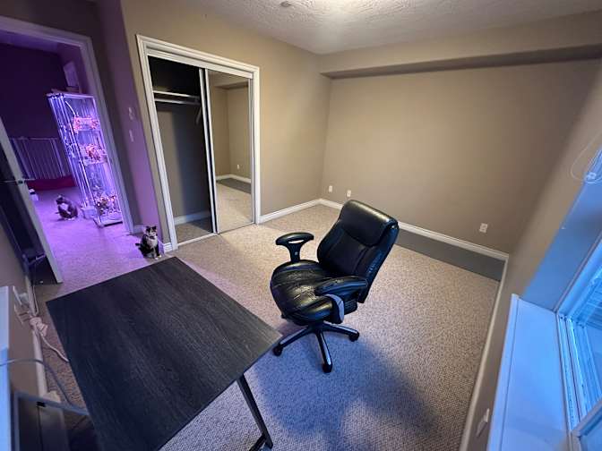 Photo of Mandy's room