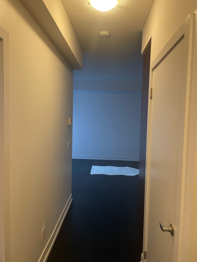 Daniyal Zahid's room