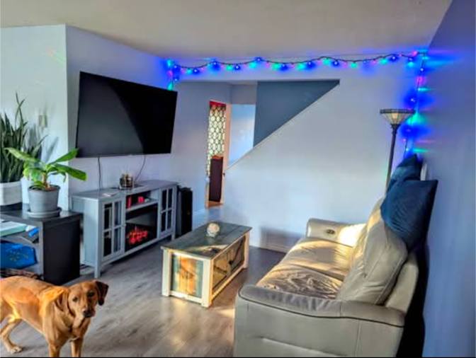 Photo of Alexis Jeffries's room