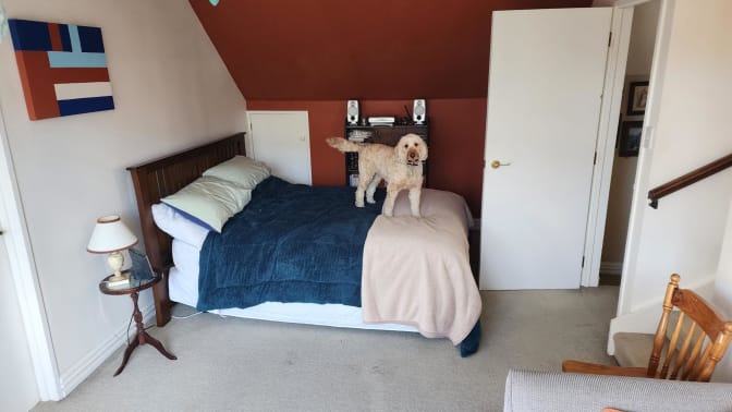 Photo of Frank's room