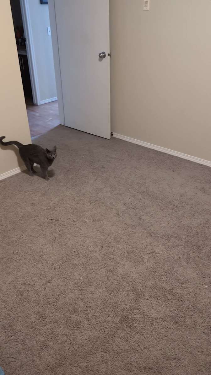 Photo of Ryan Baron's room