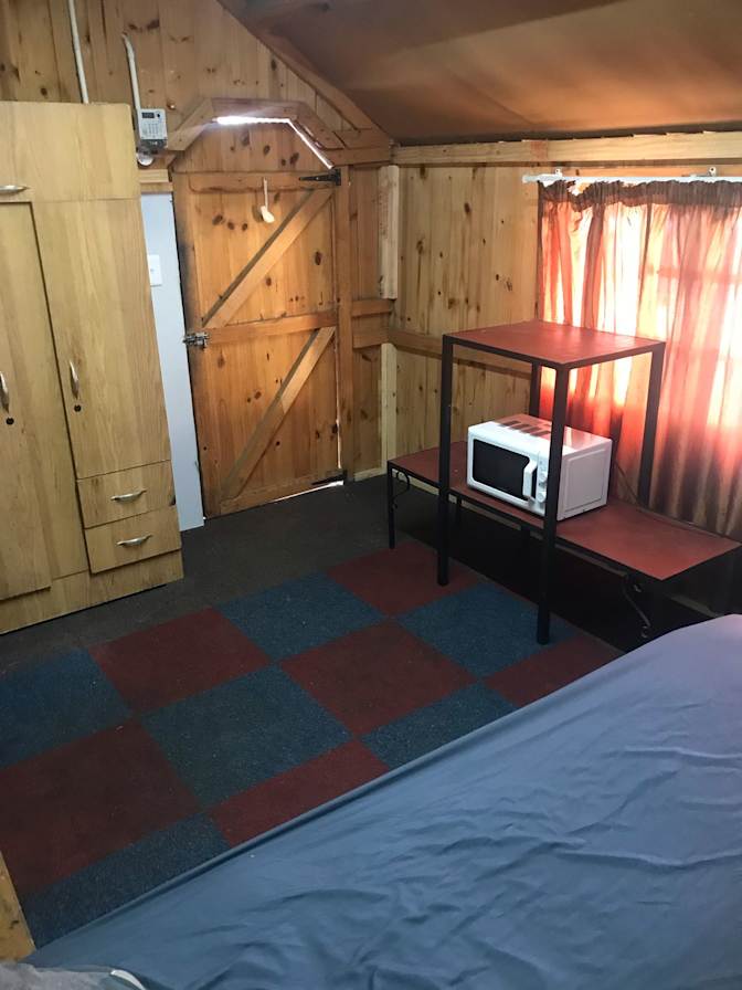 Photo of Willows on Bartlett's room