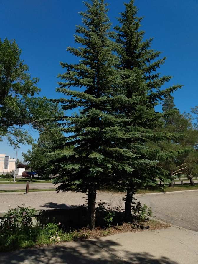 Photo of Hazel's room