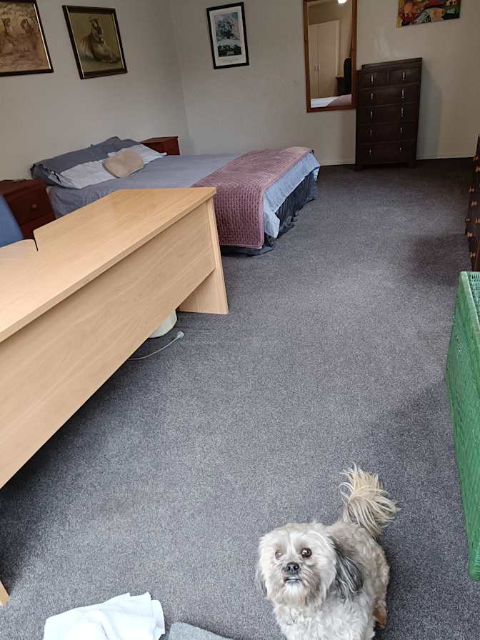 Photo of Lisa Exeter's room