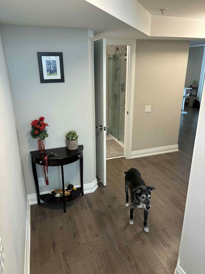 Photo of Jessica's room