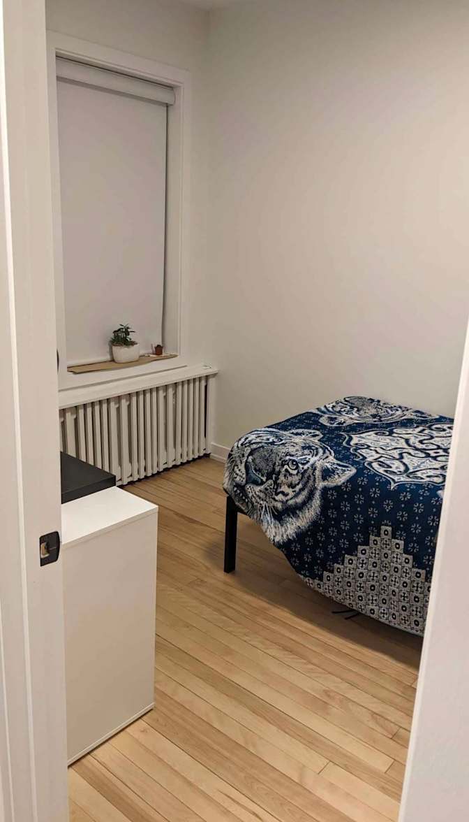 Photo of Leila's room