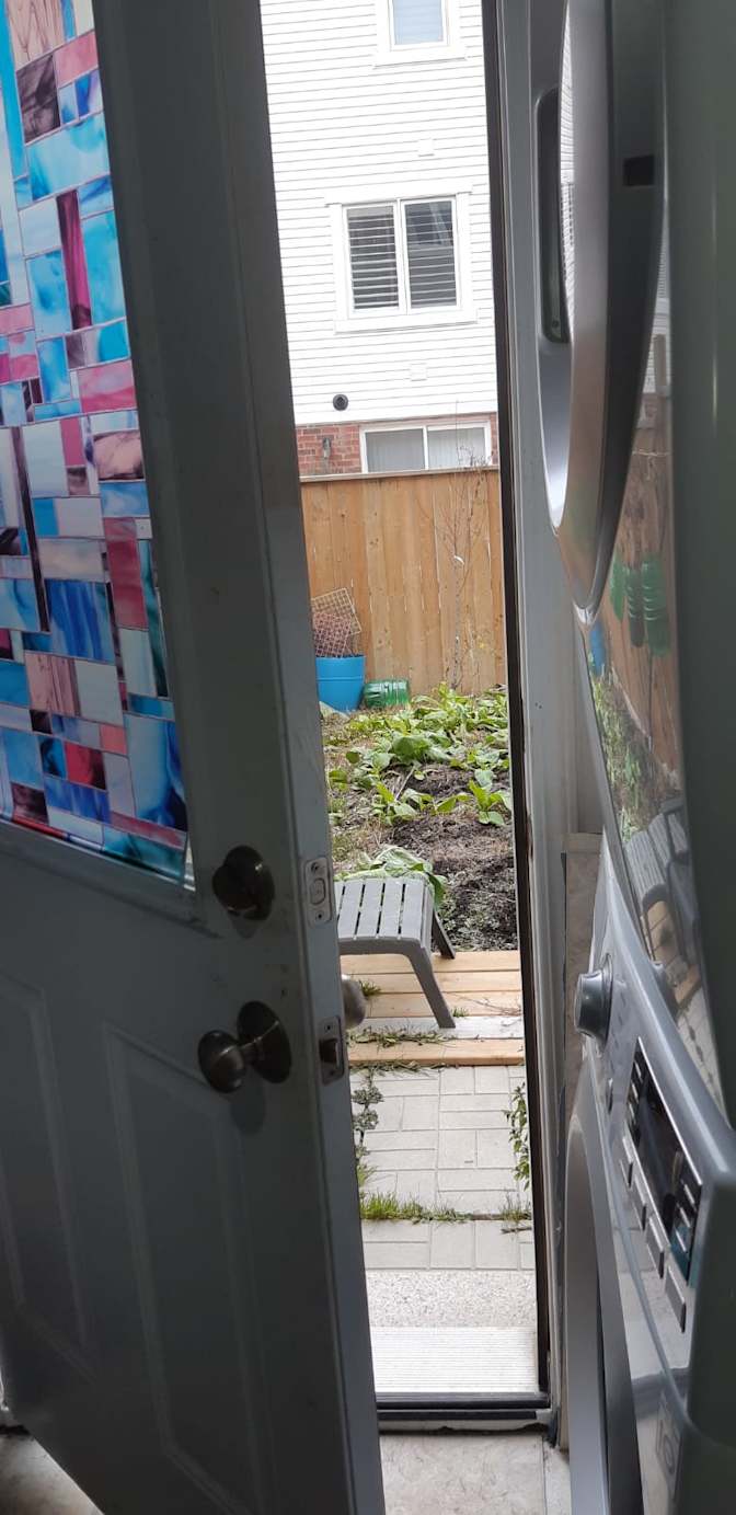 Photo of Shaheen's room