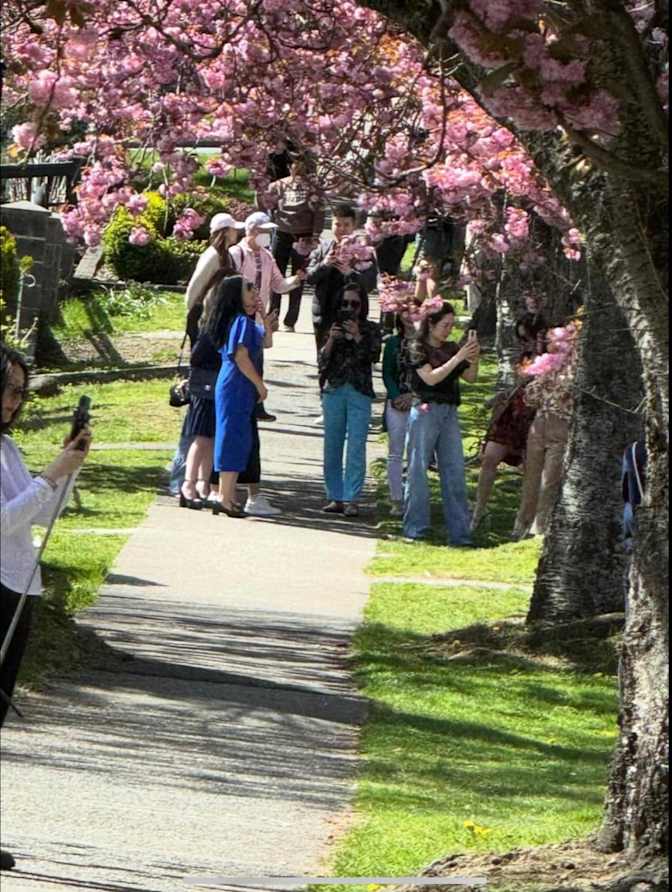 Photo of Danielle's room